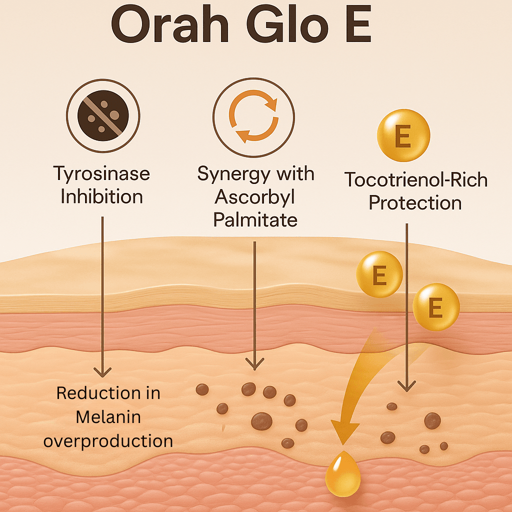 Orah Glo E Reduction in Melanin overproduction