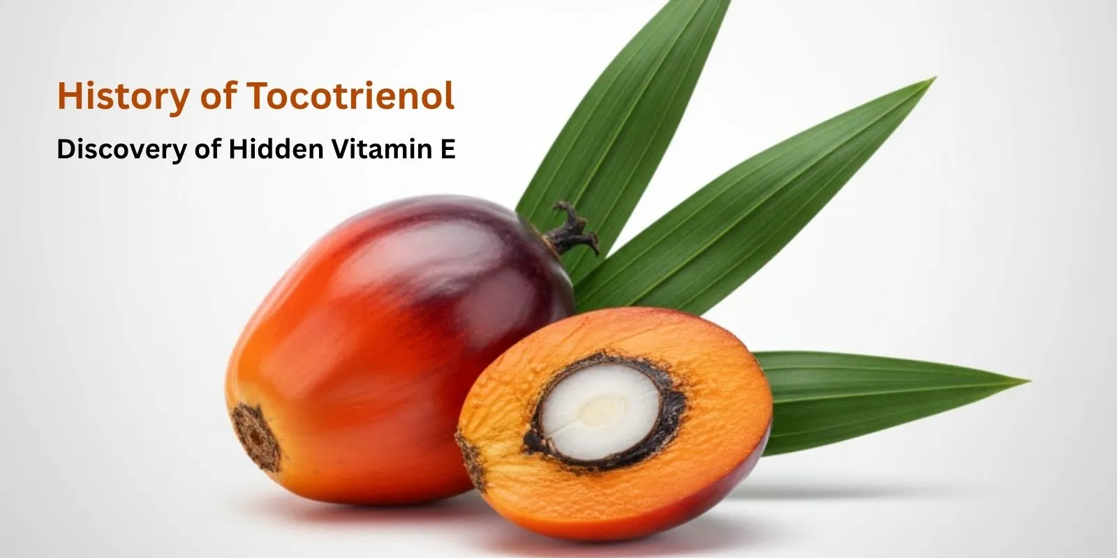 Blog header image